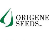 Origene seeds