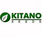 Kitano - професионални семена 