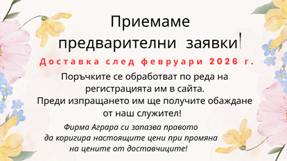 Минзухари-пролетни 