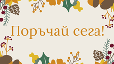 Други луковици