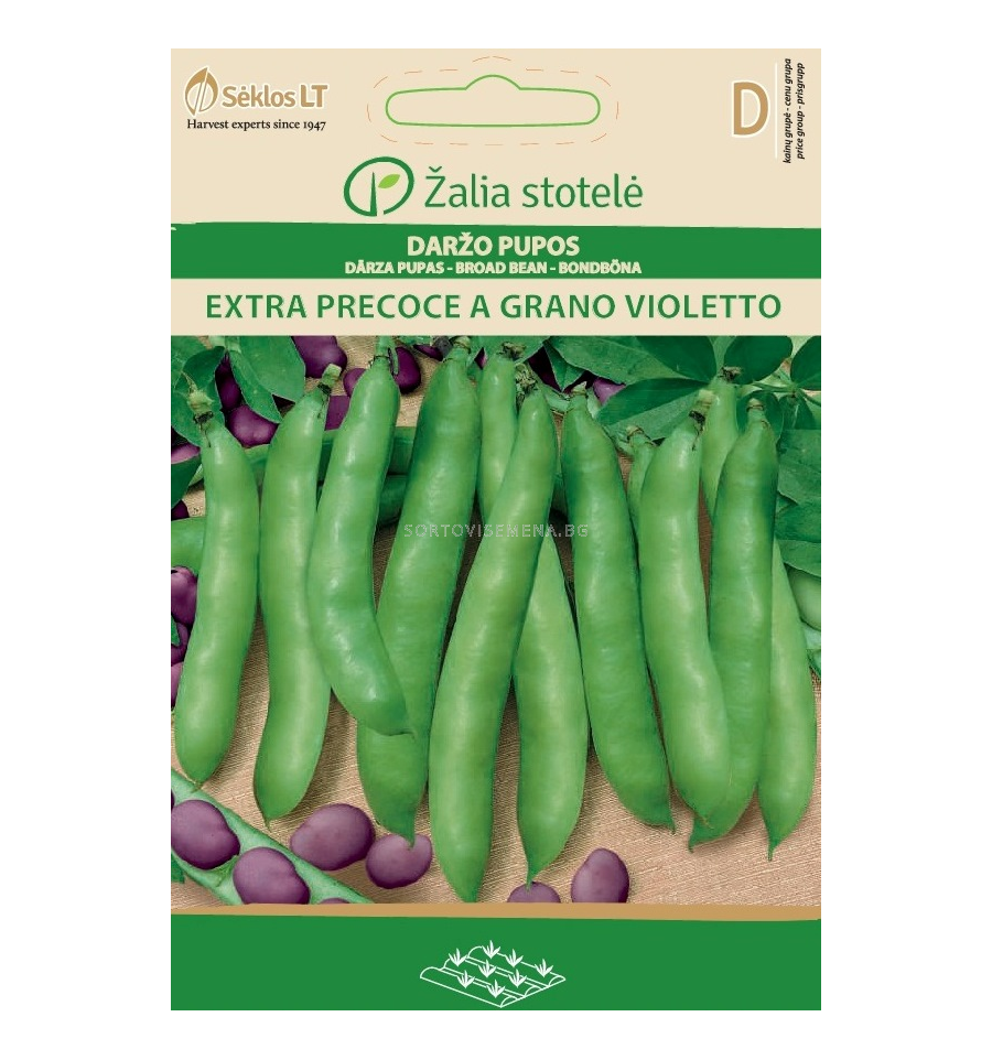 СЕМЕНА БАКЛА EXTRA PRECOCE A GRANO VIOL., BROAD BEAN - 'SK - 30г ...