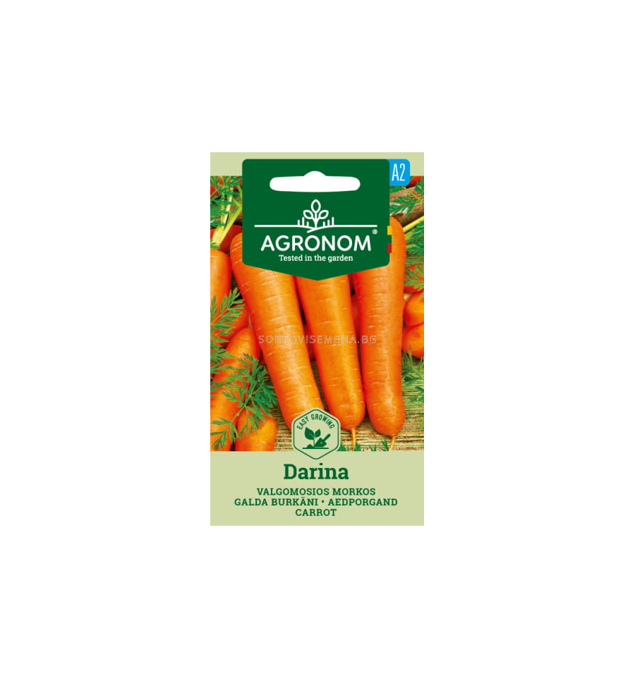 СК СЕМЕНА МОРКОВИ ДАРИНА - CARROT, DARINA | Моркови | SortoviSemena.BG