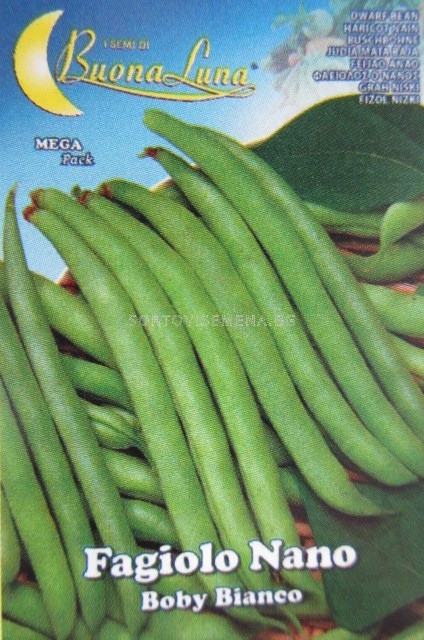 Semena Fasul Italianski Zelen Krgl Nisk Beans Italian Green Round Low Grah I Fasul Sortovisemena Bg