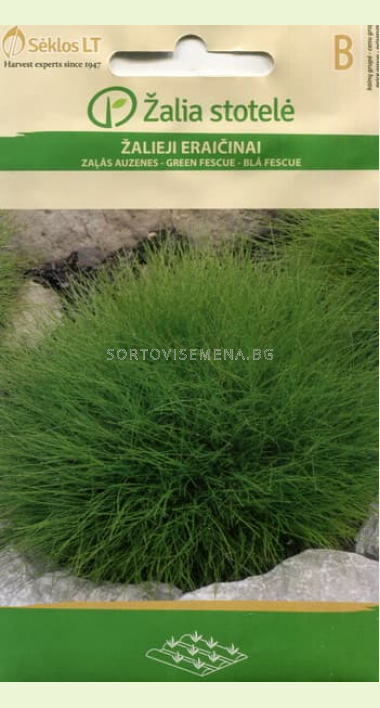 Семена Фестука зелена / FESCUE GREEN / 'SK -1 оп | Семена за цветя ...