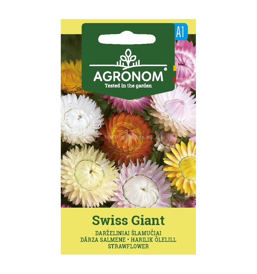 СК ХЕЛИХРИЗУМ STRAWFLOWER, TOM THUMB Семена за цветя SortoviSemena.BG
