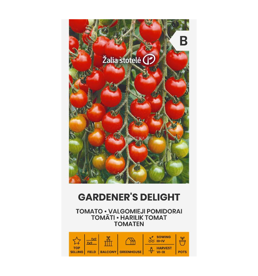 Семена Чери домат GARDENER'S DELIGHT 'SK 0.1г Домати