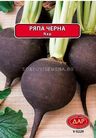 Семена Ряпа Черна кръгла | Ряпа и репички | SortoviSemena.BG