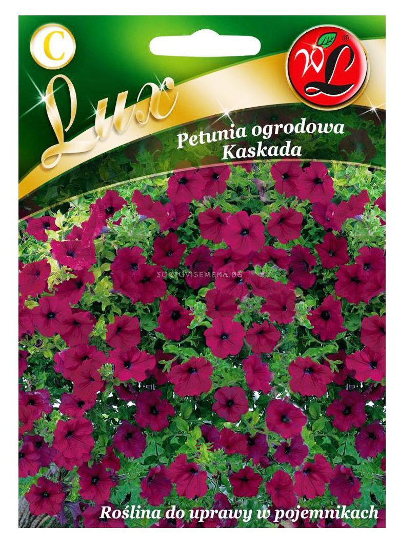  Петуния каскадна - виолетова LG |  за цветя | SortoviSemena.BG