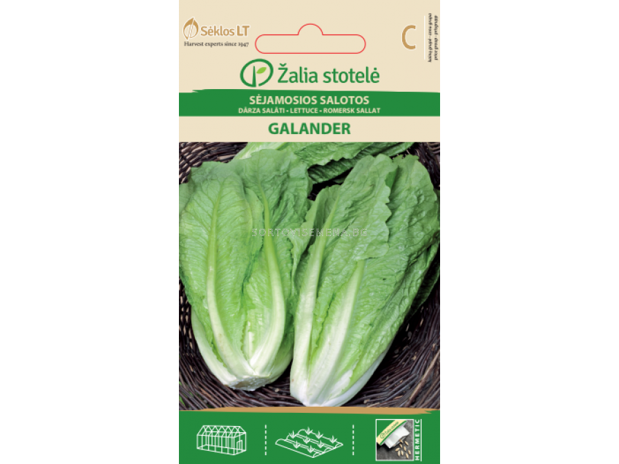 Салат батавия 1г нк. Семена салата кочанный ромэн. Салат кочанный сорта. Салат романо красный. Кочанный ромен.