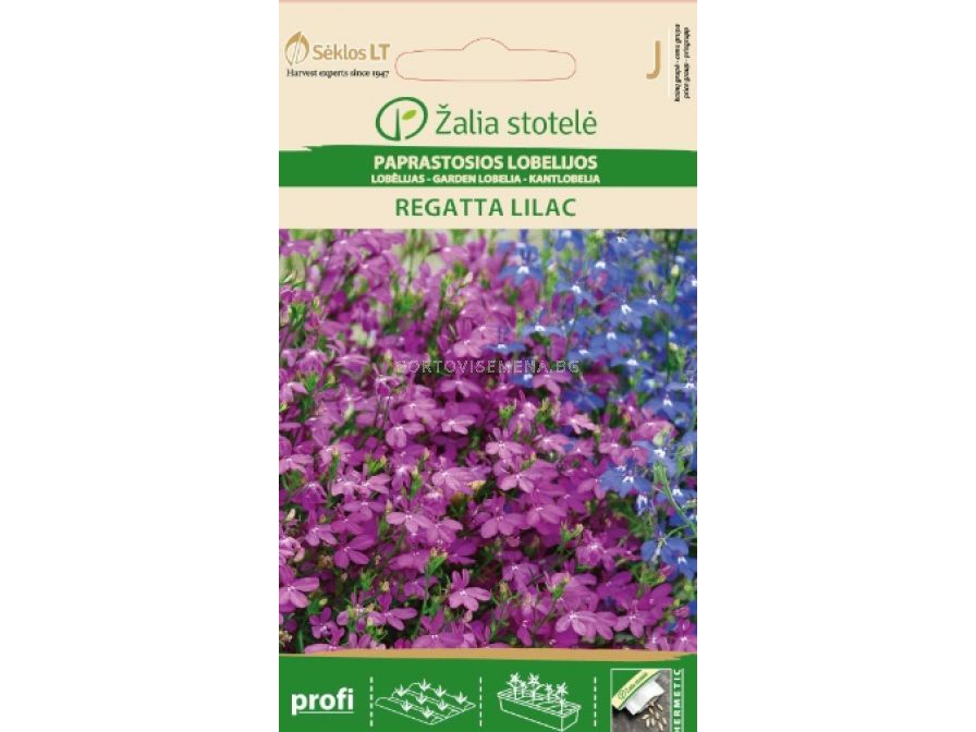 Семена Лобелия Регата лилаво-синя / LOBELIA, REGATTA LILAC / SK - 40 ...