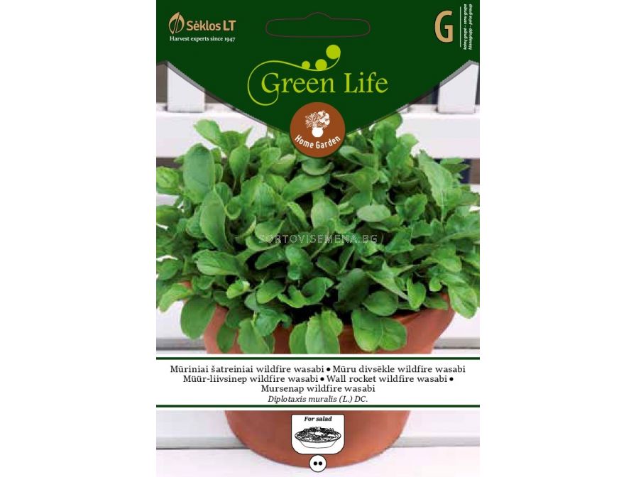 Семена Уасаби Дива ракета /люта/ WALL ROCKET Wildfire WASABI/ SK - 0,5 ...