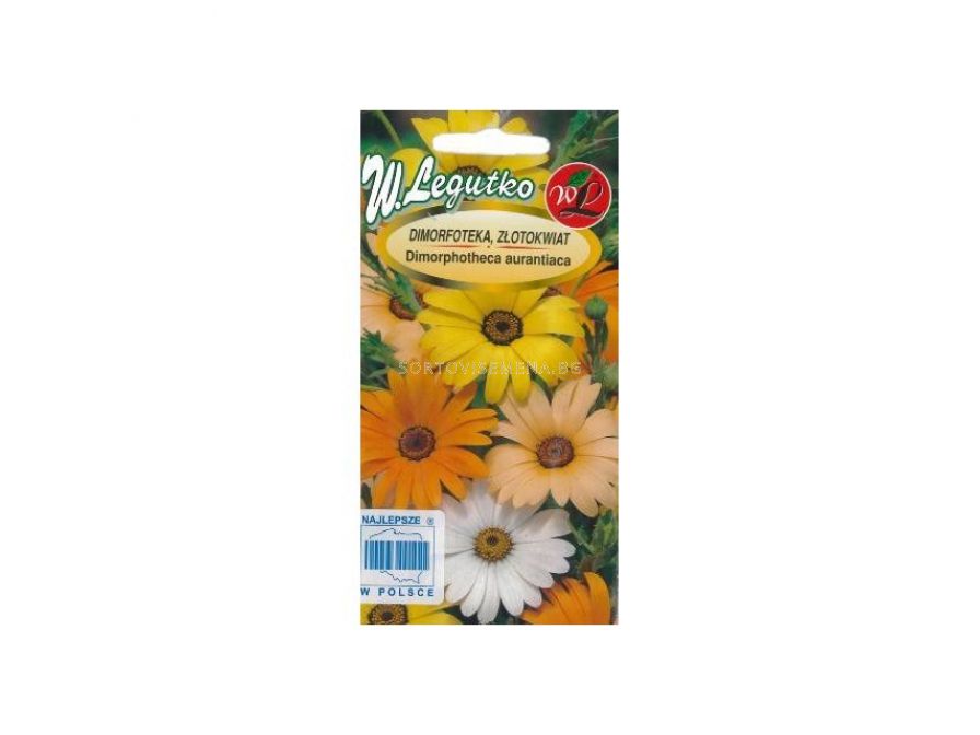 ЛГ ДИМОРФОТЕКА Dimorphotheca aurantiaca mixture Toraf цветя