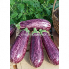 Семена Патладжан Нереа /Fito/ - 1000 сем