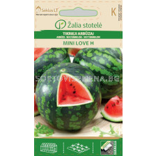Семена Диня Мини Лов  /Mini Love H, Early/ 'SK - 1 оп 5 гр