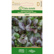 Семена Листно китайско зеле Аракс (CABBAGE CHINESE ARAX) 'SK - 1 г