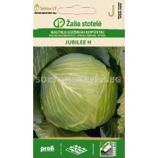Семена Зеле /Jubilee H, late/ 'SK-1 оп  0,1 гр