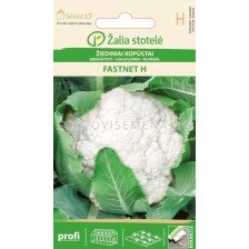 Семена Карфиол /Fastnet H, Early/ 'SK-1 оп 20 гр