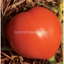Семена Домати Медено сърце F1 - Tomato Medeno sartse F1