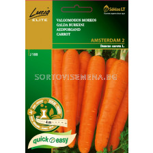 Моркови Амстердам 2 (CARROT AMSTERDAM 2) 'SK - на лента 4 м