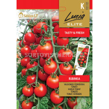 Семена домати Рубинка (TOMATO RUBINKA) 'SK - 0,2 г
