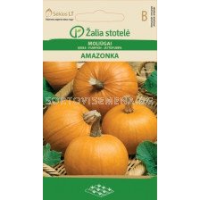 Тиква Амазонка (PUMPKIN AMAZONKA) 'SK - 1,7 г