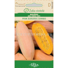 Тиква Пинк Банана Джъмбо (PUMPKIN PINK BANANA JUMBO) 'SK - 2 г