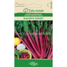 Манголд (SWISS CHARD) MAGENTA SUNSET 'SK - 3 г