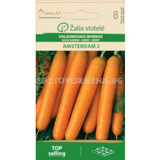 Семена Моркови /Amsterdam 2, Early/ 'SK-1 оп 100 гр