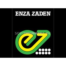 Семена Фасул Atlanta - (без конструкция) - 1 кг.