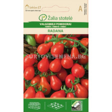 Семена домати Радана (TOMATO RADANA) 'SK - 0,2 г