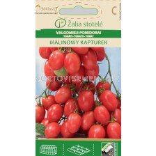 Семена домати (TOMATO) MALINOWY KAPTUREK 'SK - 0,1 г