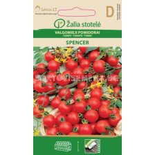 Семена домати Спенсър  (TOMATO SPENCER) 'SK - 0,1 г