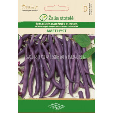 Семена Фасул лилав / Amethyst, Purple podded / 'SK -1 оп