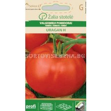 Семена домати Ураган (TOMATO URAGAN) 'SK Хибрид - 0,1 г