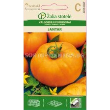 Семена домати Янтар (TOMATO JANTAR) 'SK - 0,2 г