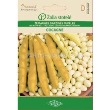 Семена за зрял Фасул Cocagne 'SK -1 оп