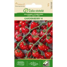 Семена домати Гардънбери (TOMATO GARDENBERRY) 'SK Хибрид - 10 семена