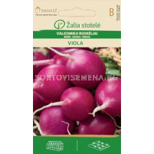 Семена Репички /Viola, Late / 'SK-1 оп 3 гр