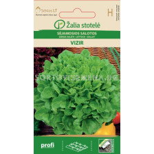 Салата Визир / LETTUCE, VIZIR / SK  25 сем 