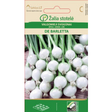 Семена Лук /De barletta, Pickling type / 'SK-1 оп 2 гр