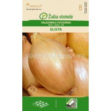 Семена Лук /Elista for storage / 'SK-1 оп 0,5 гр
