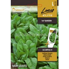 Семена Спанак бейби Скорпиус /SCORPIUS H / 'SK-1 оп 3 гр