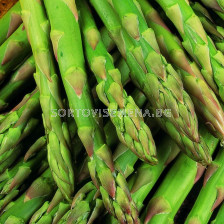 Аспержи зелени /Asparagus Gijnlim/ 