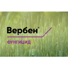 Вербен - 5 л