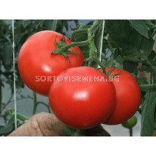 Семена Домати Ком F1 