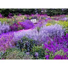 Колекция "Purple garden" 50 бр