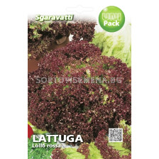 Семена Салата Lollo Rossa SG