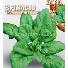 Семена Спанак Trombone "SG