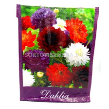Подаръчна чанта (Далия микс) - Gift Bag (Dahlia Mix)