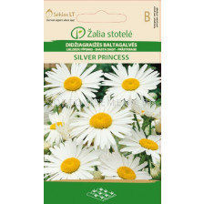 Семена Маргаритки Сребърна принцеса / DAISY WHITE, SILVER PRINCESS / SK - 0,5 г
